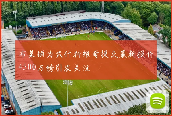 布莱顿为武什科维奇提交最新报价4500万镑引发关注